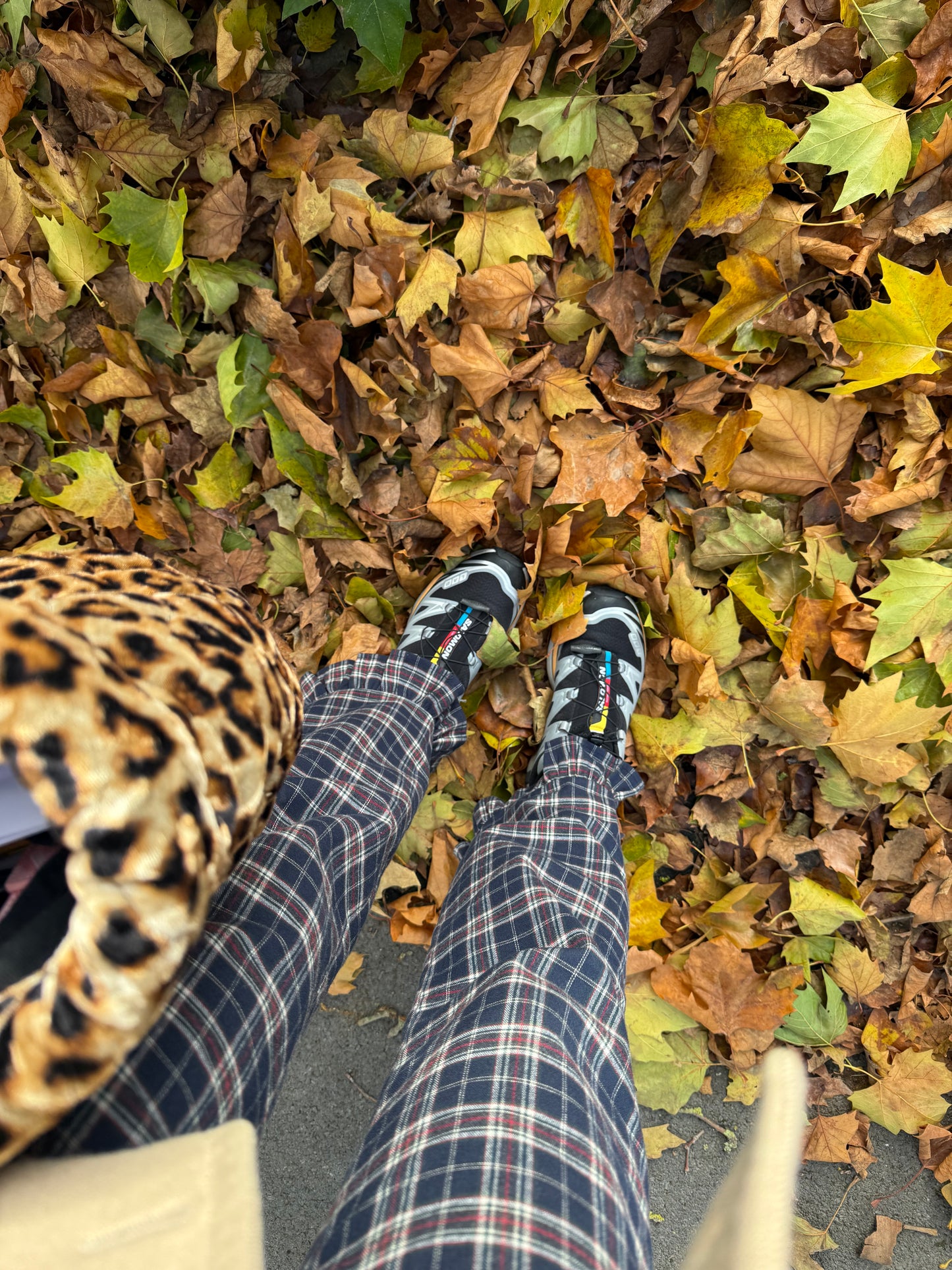 Pantalon Fleur - Tartan Navy